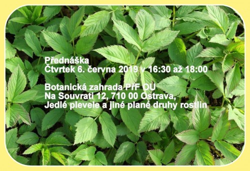jedle_plevele.jpg
